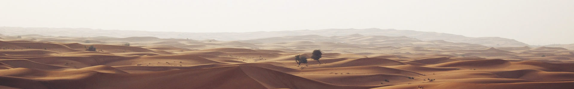 нï޹˾